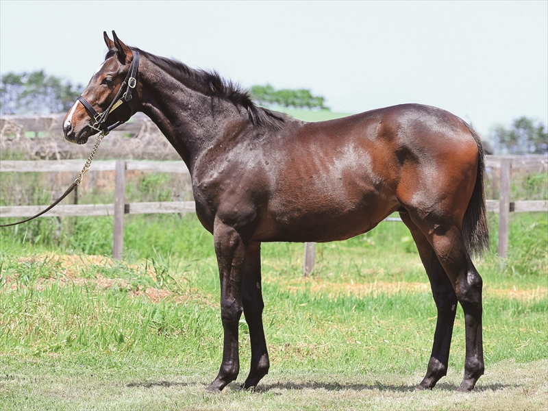 マリアスパン2024