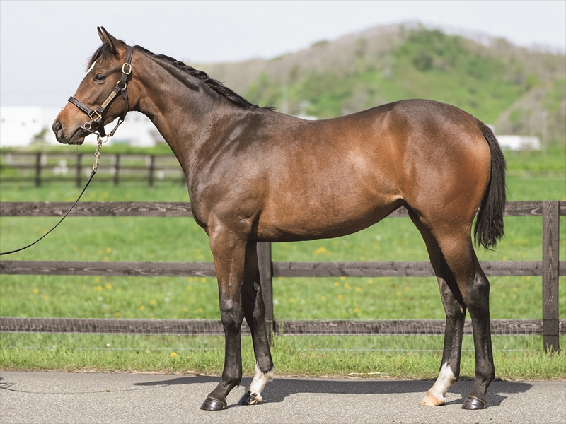 サンヴィセンテ2024