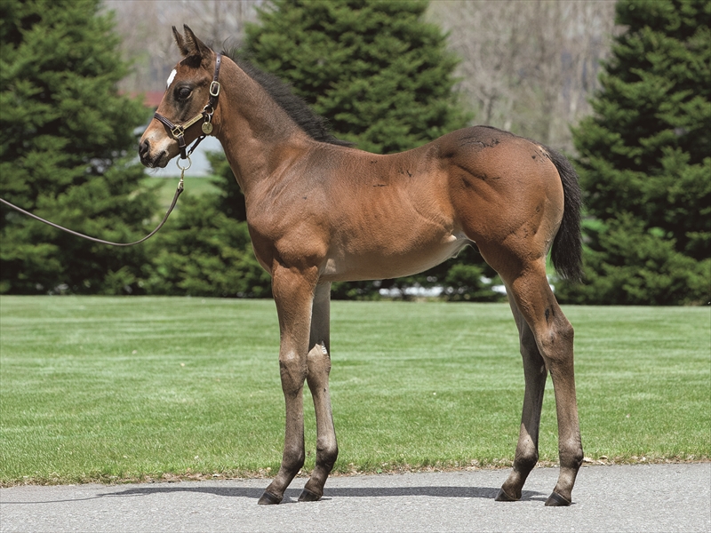 エントロピアの2025