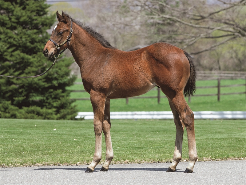 ソーテルヌの2025