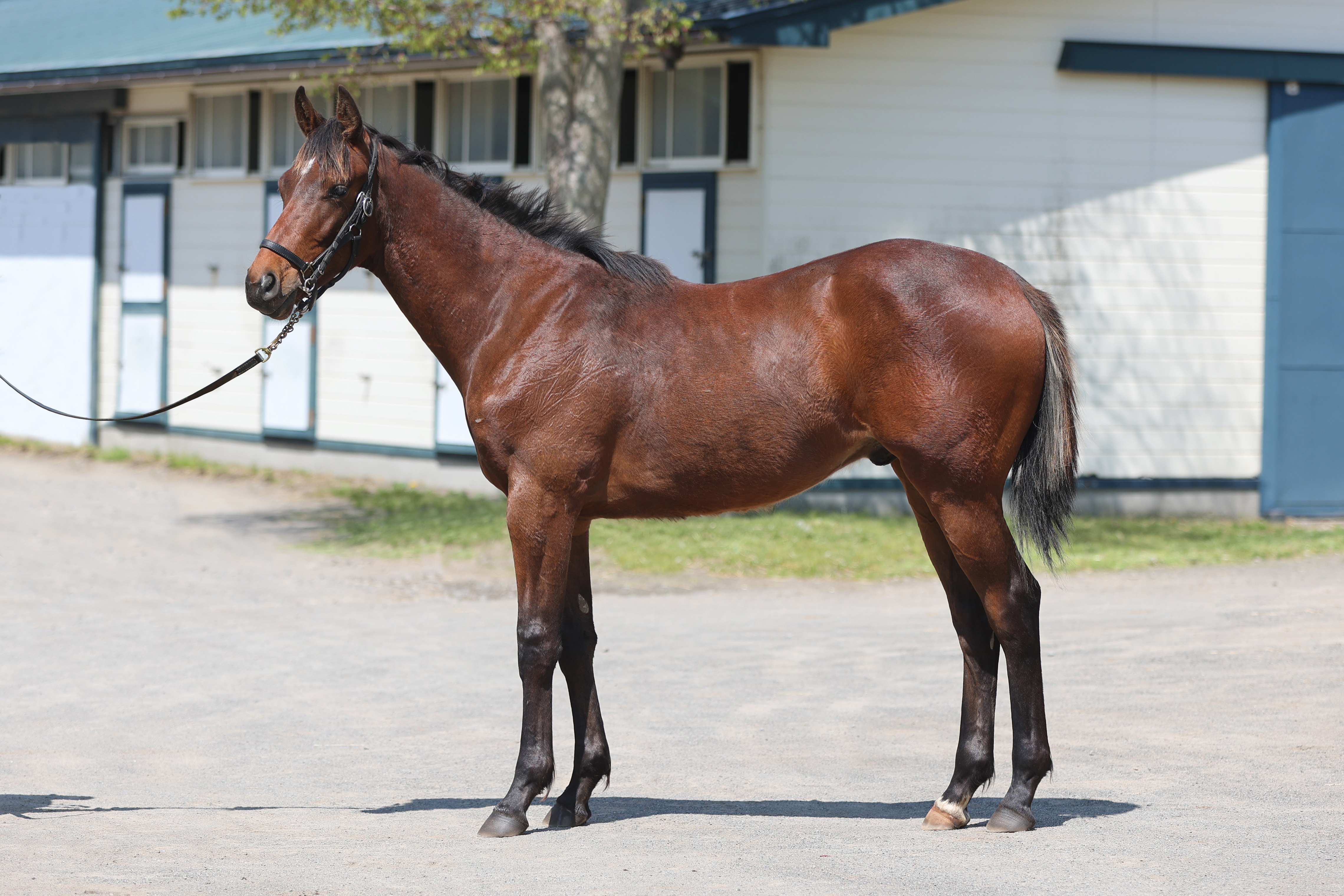 ノゾミ２０２４