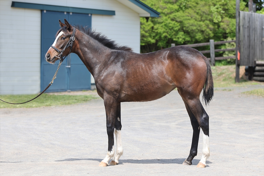 カウムディー２０２４